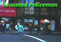 sunday_afternoon_09.jpg (15159 oCg)