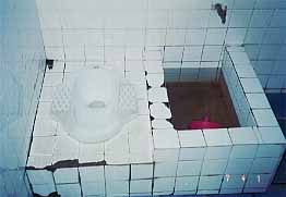toilet_00.jpg (12915 oCg)